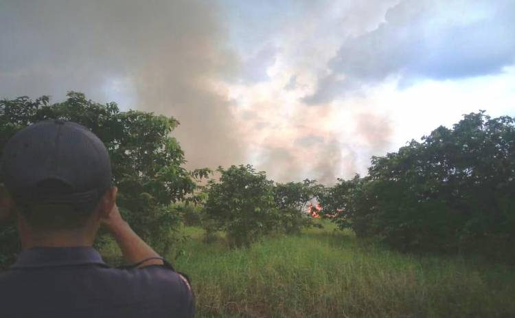 Lima Hektar Lahan Terbakar di Kumpeh, Zakir: Kami Minta Warga Jangan Buka Lahan Dibakar