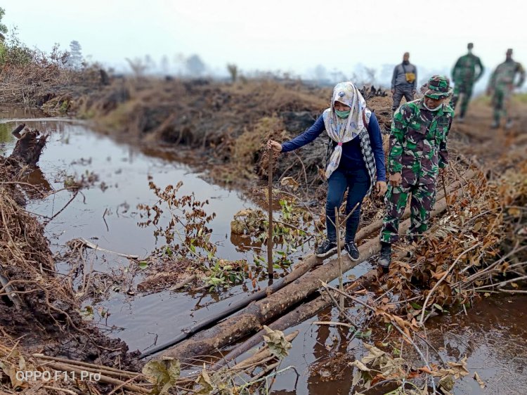 Api Lahan Gambut di Kedalaman 3 Meter Membuat Satgas Karhutla Sulit Lakukan Pemadaman