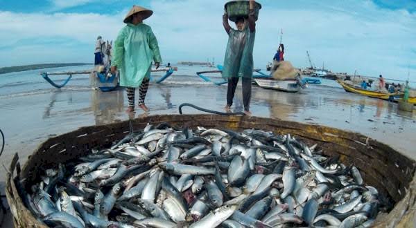 Akibat Karhutla, Produksi Ikan di Tanjab Barat Menurun