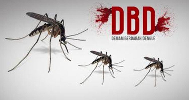Lapor Pak Wako! Jumlah Penderita DBD di Jambi Capai 634 Orang, 10 Orang Meninggal Dunia
