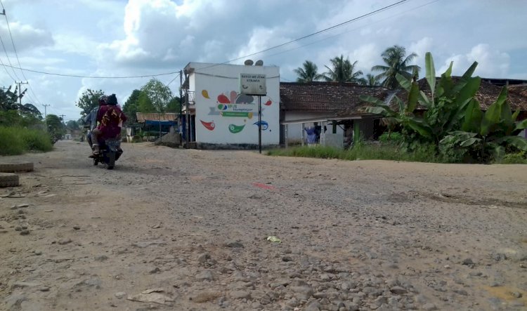 Jalan Jambi-Suakkandis Rusak Berat, Dewan: Ada Anggarannya Rp18 Miliar