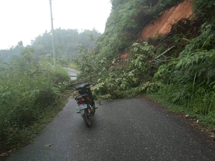 Diguyur Hujan Lebat, Akses Jalan Sarolangun- Batangasai Lumpuh Total