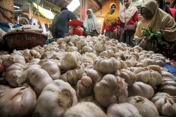 Lonjakan Harga Rp70 Ribu Perkilogram, Dedi Mulyadi Sebut Importir Diduga Timbun 130 Ribu Ton Bawang Putih